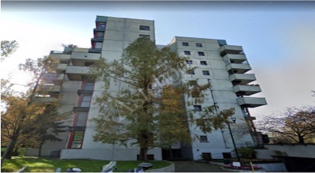 Ufficio al primo piano con box e cantina in Segrate 
