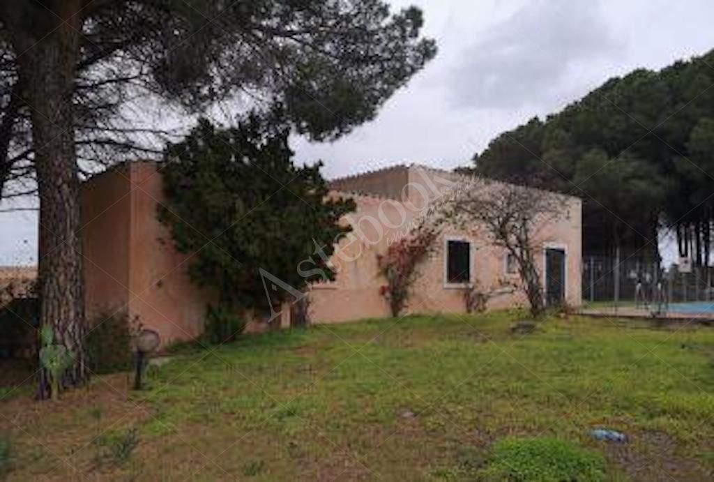 Villino indipendente con piscina privata e giardino in Arzachena 
