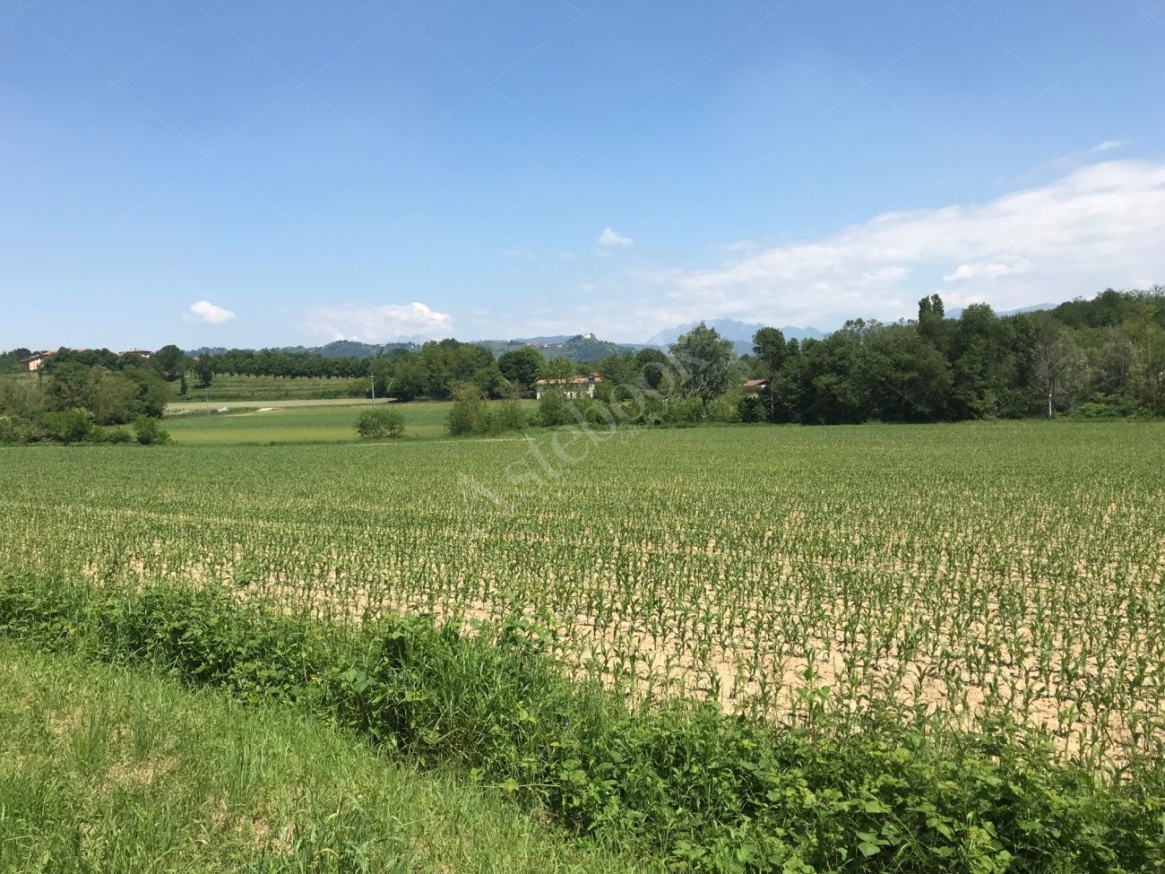 2 Aste Immobiliari E Mobiliari Vendite Giudiziarie Immobiliari E